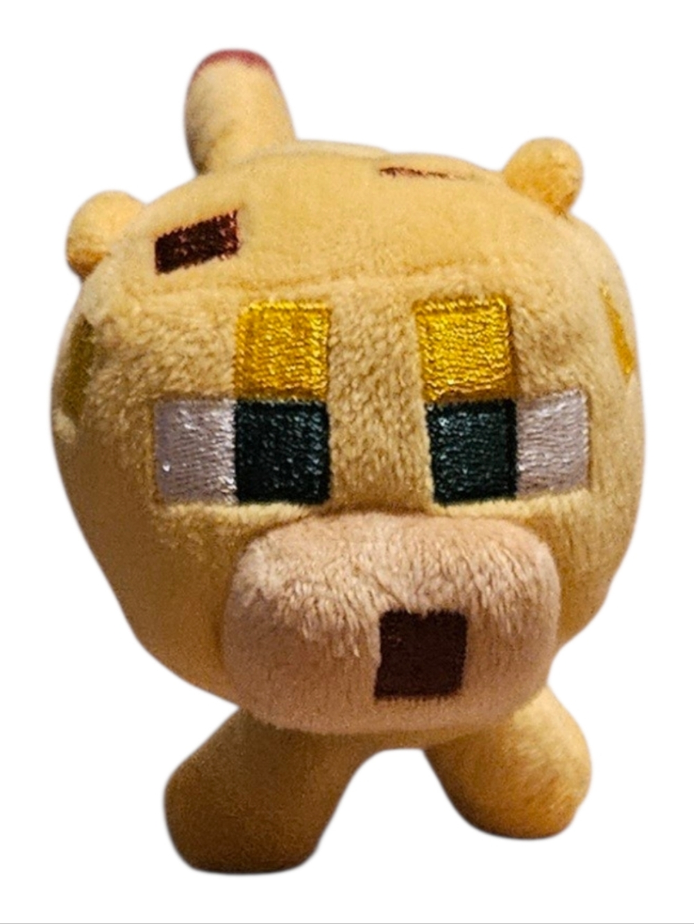 Minecraft Jaquar